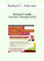 Richard C. Schwartz – Internal Family Systems Therapy (IFS): 2-Day Experiential Workshop