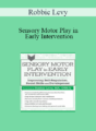 Robbie Levy – Sensory Motor Play in Early Intervention: Improving Self-Regulation, Social Skills and Development