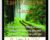Easy Meditation Course – Robert Morgen