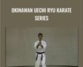 Okinawan Uechi Ryu Karate Series – Rod Mindlin