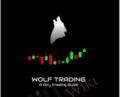 Wolf Trading A Day Trading Guide – Roland Wolf