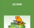 SEO Sprint – Shane Melaugh