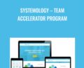 Systemology-Team Accelerator Program – David Jenyns