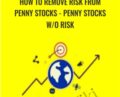 How to Remove Risk from Penny Stocks -Penny Stocks w/o Risk – Saad Tariq Hameed