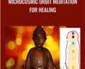 Microcosmic Orbit Meditation For Healing – Sandeep Nath