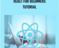 React for beginners tutorial – Sandy Ludosky