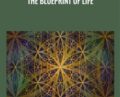 The blueprint of life – Sapien