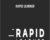 Rapid Learner – Scott H Young