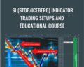 SI (STOP/ICEBERG) Indicator Trading Setups And Educational Course – Scott Pulcini