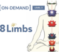 Available only $59, On-Demand Meditation Level 3 Course – Gregor Maehle Course