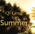 Available only $29, Qi Gong for Summer Workshop – Lee Holden Course