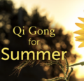 Available only $29, Qi Gong for Summer Workshop – Lee Holden Course