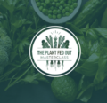 Available only $119, The Plant Fed Gut Masterclass 2023 – Will Bulsiewicz Course