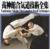 Available only $29, The Complete Set of Techniques – Aikido Yoshinkan Course