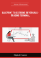 Available only $208, Blueprint To Extreme Reversals – Trading Terminal – Aiman Almansoori Course