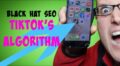 TikTok SEO How to Rank TikTok Videos – Chris Palmer