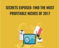 Secrets Exposed: Find The Most Profitable Niches of 2017 – Sandor Kiss