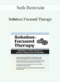Seth Bernstein – Solution Focused Therapy: Building on What Works to Create Change and Get Results