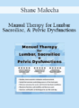 Shane Malecha – Manual Therapy for Lumbar, Sacroiliac, & Pelvic Dysfunctions