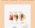 Shaolin Workout- 3xDVD Bundle – Shifu Yan Lei
