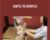 Simple to Complex – Nina Russ