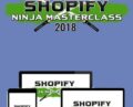 Shopify Ninja Masterclass 2018 – Kevin David