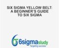 Six Sigma Yellow Belt: A Beginners Guide to Six Sigma – AIGPE