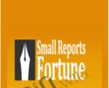 Small Reports Fortune 2.0 – Jimmy D Brown
