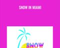 Snow In Miami – Josh Elizetxe