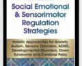 Social Emotional and Sensorimotor Regulation Strategies: Holistic Approaches for Anxiety, Autism, Sensory Disorders, ADHD, Developmental Disorders, Down Syndrome and Cerebral Palsy – Kathee Cammisa