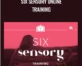 Six Sensory Online Training – Sonia Choquette