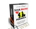 Soul Mates Formula – Jesse Charger