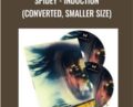 Spidey-Induction (converted, smaller size) – Shin Lim