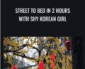 Street To Bed In 2 Hours With Shy Korean Girl – Street Attraction