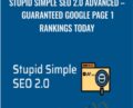 Stupid Simple SEO 2.0 Advanced – Guaranteed Google Page 1 Rankings Today