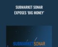 Submarket Sonar Exposes ‘Big Money’ – Raghee Horner