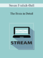 Susan Fralick-Ball – The Brain in Detail