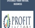 Systemize Your Virtual Business – Tim Francis