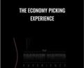 The Economy Picking Experience – Claus Levin