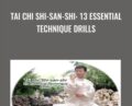 Tai Chi Shi-san-shi: 13 Essential Technique Drills – Jesse Tsao