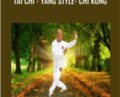 Tai Chi Yang style Chi Kung – SiFu Wong
