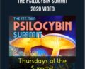 The Psilocybin Summit 2020 Video – Tam Integration