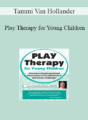 Tammi Van Hollander – Play Therapy for Young Children: Innovative Attachment-Based Interventions to Treat Behavioral and Sensory Challenges
