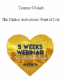 Tamra Oviatt – The Chakra Activations/ Fruit of Life, Heaven on Earth and Alchemy of the Third Dimension
