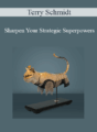 Terry Schmidt – Sharpen Your Strategic Superpowers
