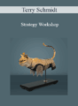 Terry Schmidt – Strategy Workshop