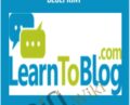 The 6 Figure Blogging Blueprint – Matt Wolfe, Bradley Will