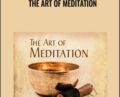 The Art of Meditation – Adyashanti