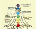 The Chakra7 System – Carol Tuttle