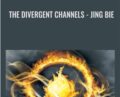 The Divergent Channels: Jing Bie – David Twicken